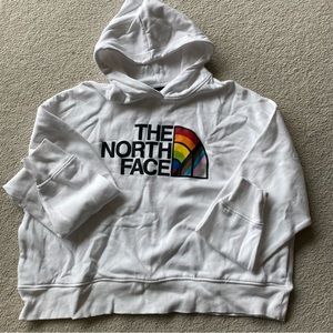 the north face hoodie